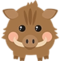 山豬